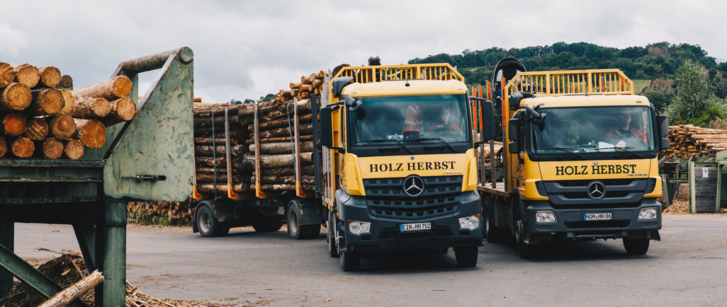 HEINRICH HERBST - 37586 Dassel, Solling | Holzhandlung und Sägewerk | Holzeinkauf & Holzernte, Rohholzhandel, Spanersägewerk, Energieholz, Anlieferung, Zertifiziert
